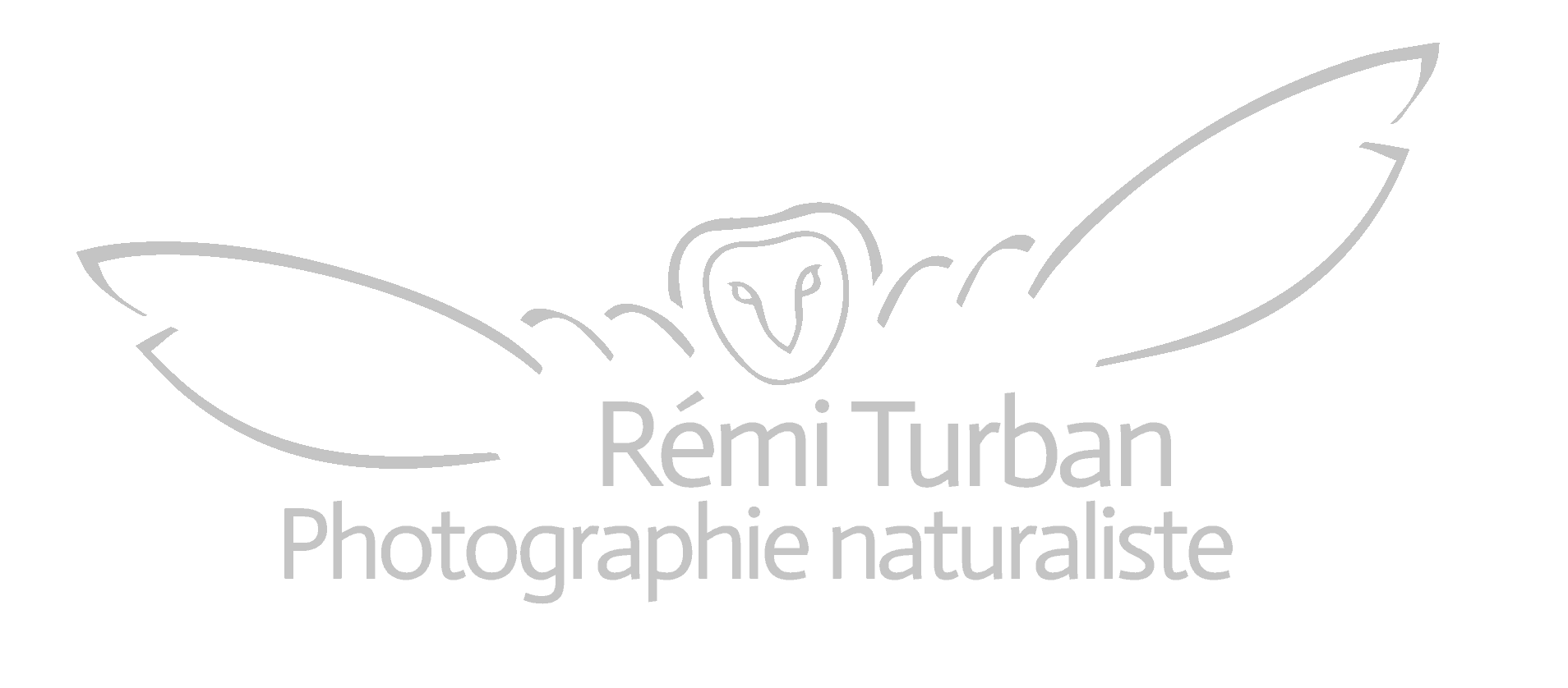 Rémi Turban - Photographie naturaliste