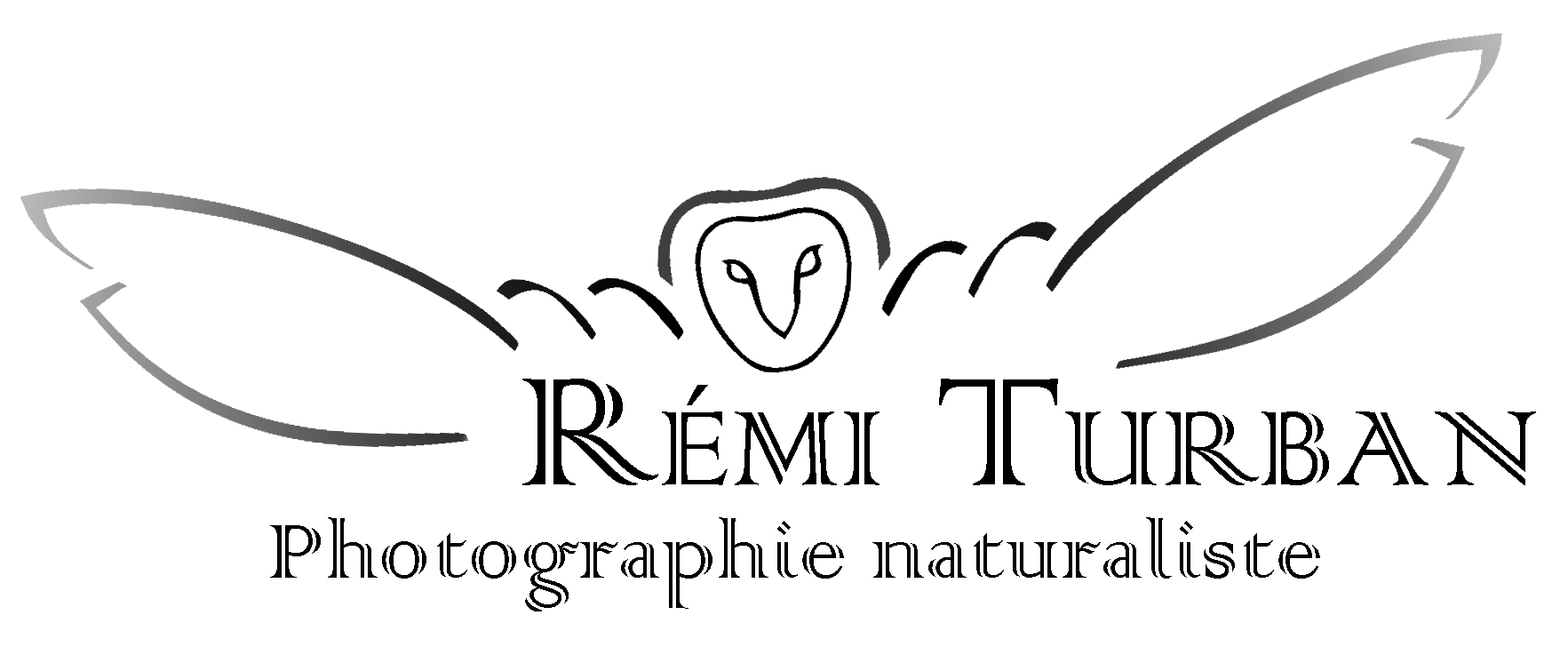 Rémi Turban - Photographie naturaliste
